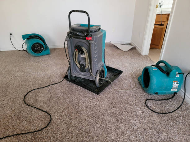 Best Water damage restoration near me  in Niagara Falls, NY