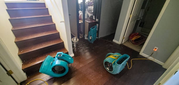 Best Water damage restoration near me  in Niagara Falls, NY