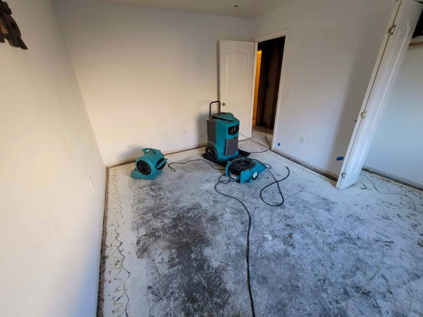 Best Flooded house restoration  in Niagara Falls, NY