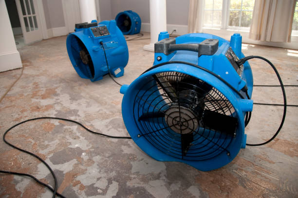 Best Water damage restoration insurance claims  in Niagara Falls, NY