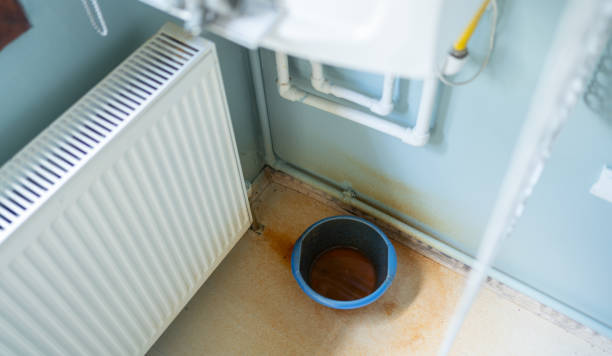Best Professional water damage repair  in Niagara Falls, NY