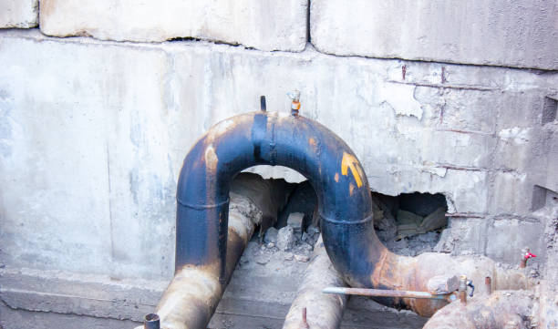 Best Mold removal after water damage  in Niagara Falls, NY