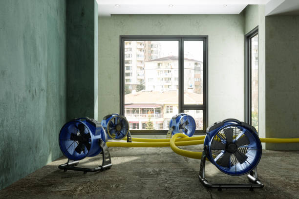 Best Fire Damage Restoration  in Niagara Falls, NY
